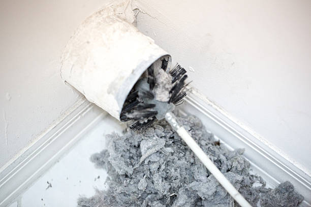 Best Dryer Vent Cleaning Services  in USA